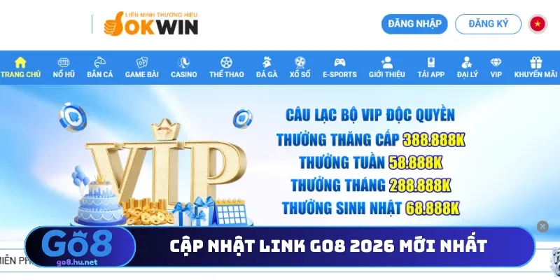 Cập nhật link Go8 2026 mới nhất