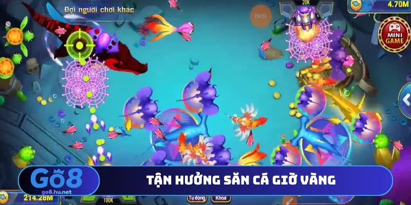 Tận hưởng săn cá giờ vàng