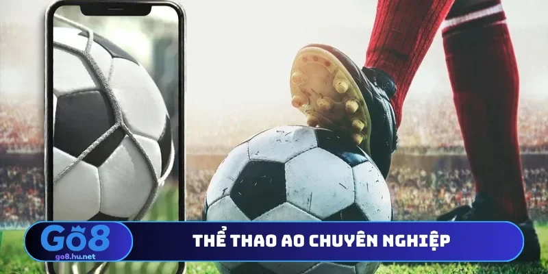 Thể thao AO chuyên nghiệp